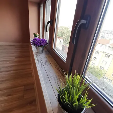 D1 Loft-top Center With Free Parking