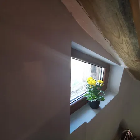 D1 Loft-top Center With Free Parking Apartment *