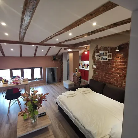 D1 Loft-top Center With Free Parking Апартамент София