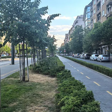 D1 Loft-top Center With Free Parking