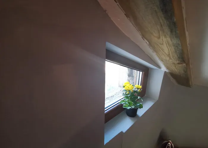 D1 Loft-top Center With Free Parking 아파트 *